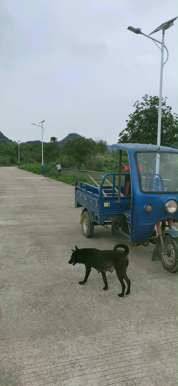 微信图片_20210422105100 微信图片_20210422105100