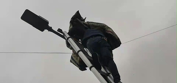 微信图片_20220329144957 微信图片_20220329144957