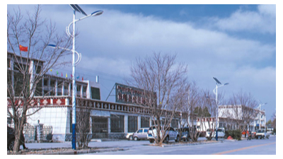 太阳能路灯的价格多少钱一个/6米7米高