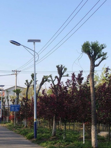 新路灯照亮民心路