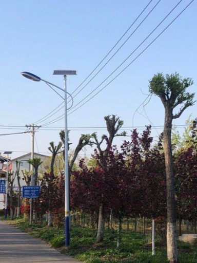 新农村建设首选：0电费支出的夜色名片